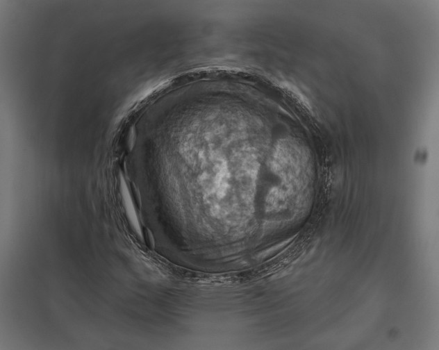 X0000097831159200803281154