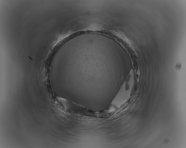 X0000097831160200803281154