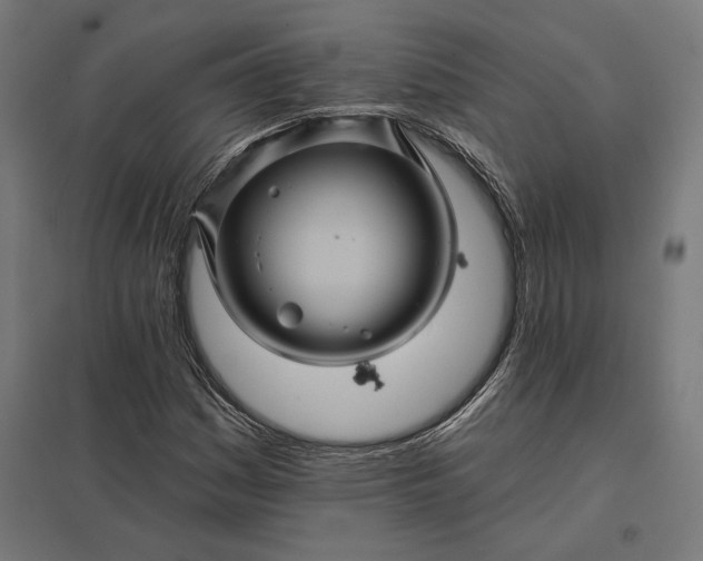 X0000097831161200803281154