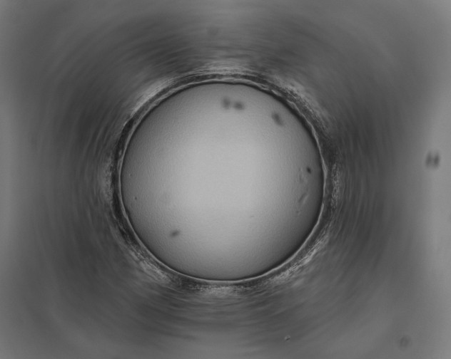 X0000097831162200803281154