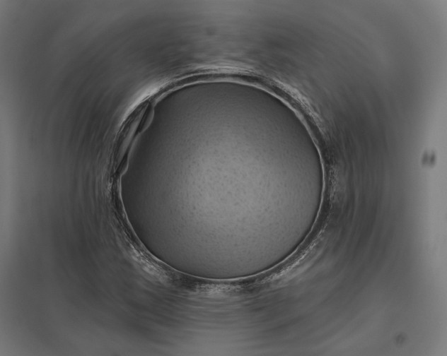 X0000097831163200803281154