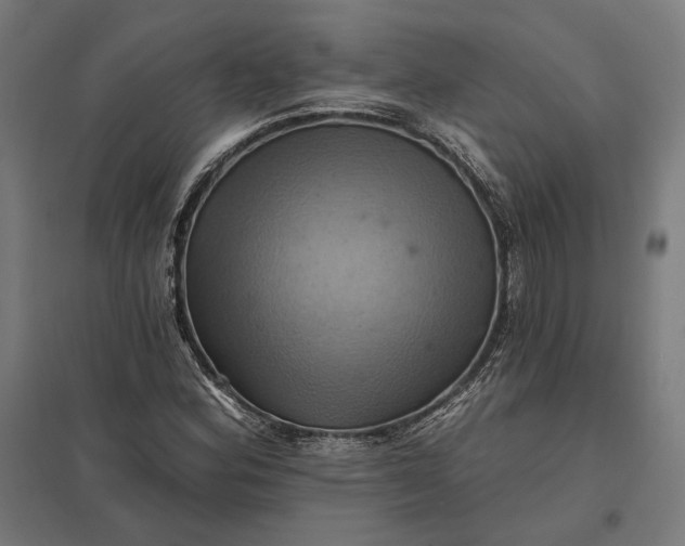 X0000097831164200803281153