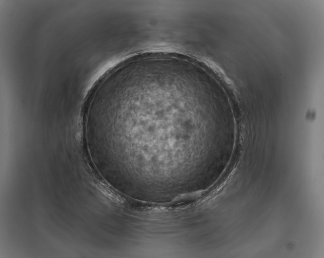 X0000097831167200803281153