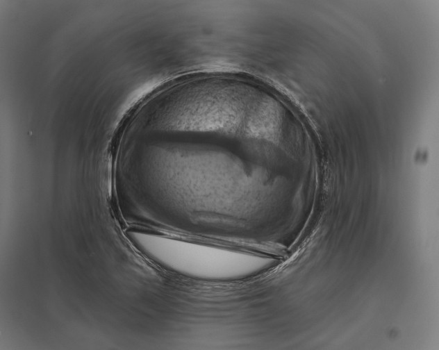 X0000097831171200803281153