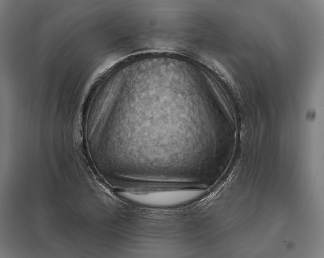 X0000097831172200803281153