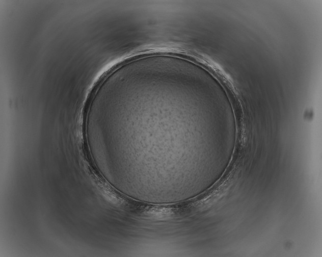 X0000097831174200803281153