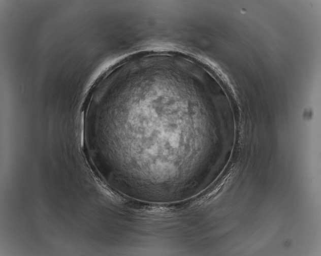 X0000097831175200803281153