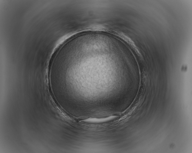 X0000097831176200803281153