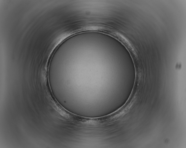 X0000097831178200803281153