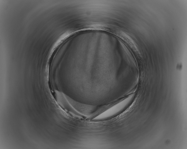 X0000097831180200803281153