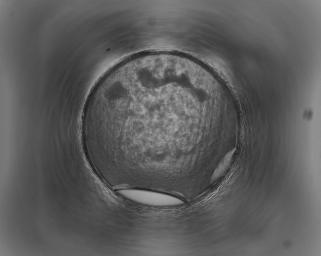 X0000097831183200803281153