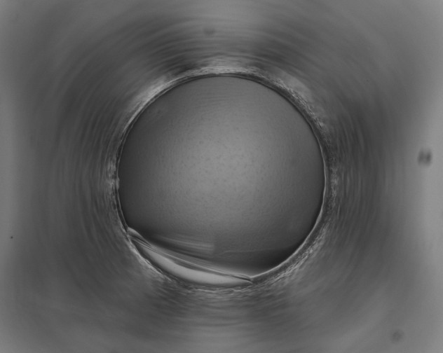 X0000097831185200803281153