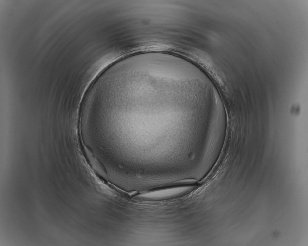 X0000097831186200803281153