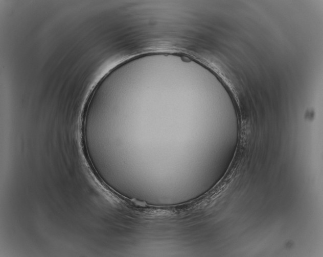 X0000097831187200803281153