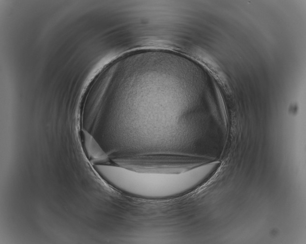 X0000097831188200803281153