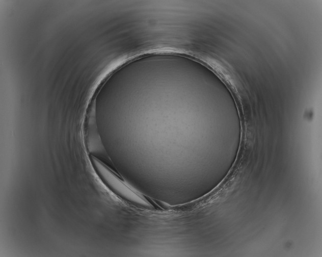 X0000097831189200803281153