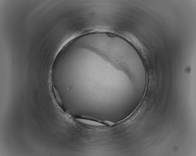 X0000097831190200803281153