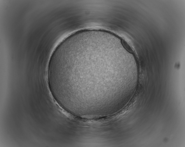 X0000097831191200803281153