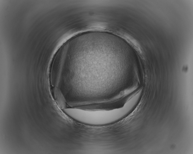 X0000097831192200803281153