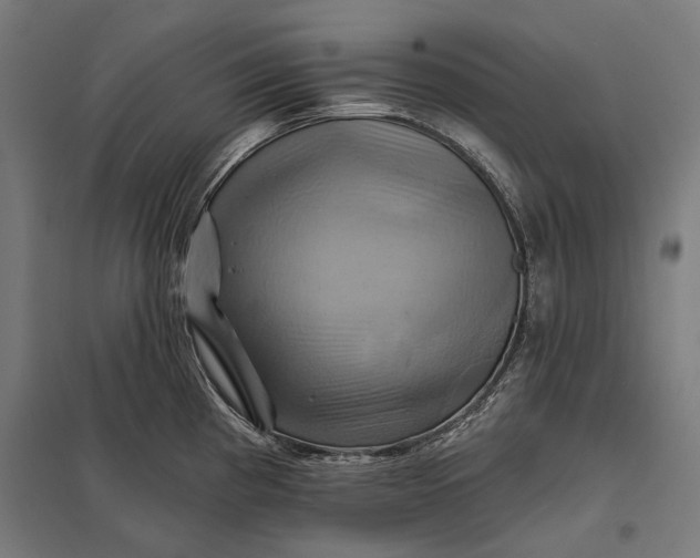 X0000097831193200803281153