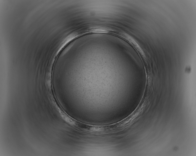 X0000097831194200803281153