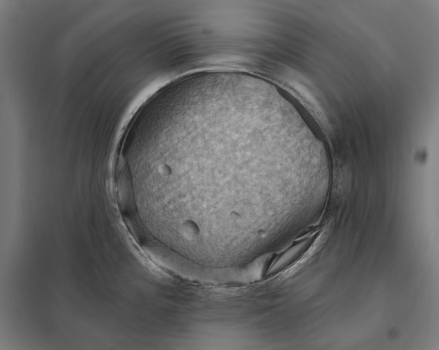 X0000097831196200803281153