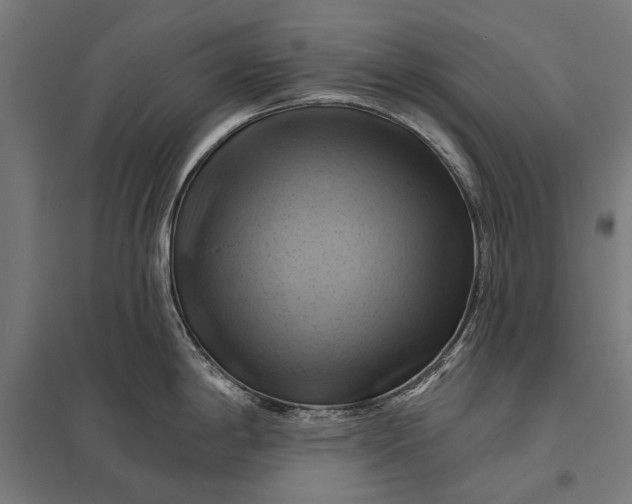 X0000097831198200803281153