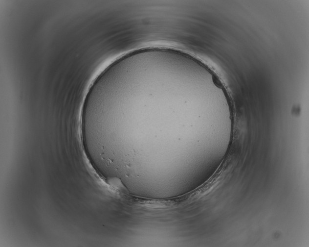 X0000097831199200803281153