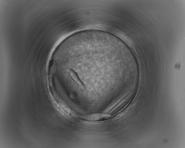 X0000097831200200803281153