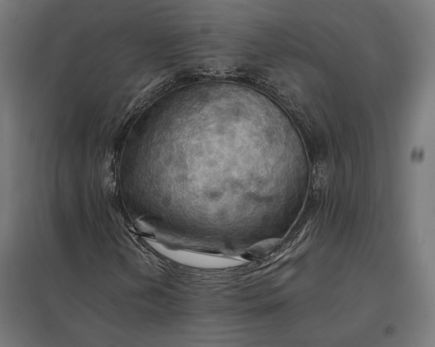 X0000097831202200803281152