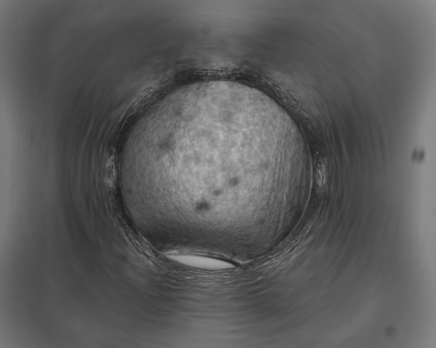 X0000097831204200803281152