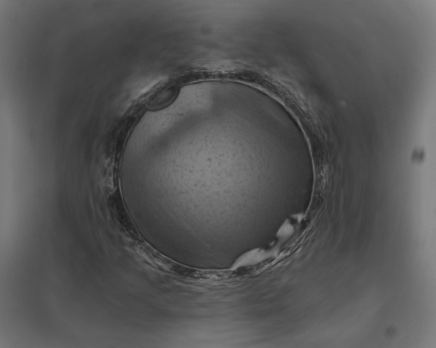 X0000097831205200803281152