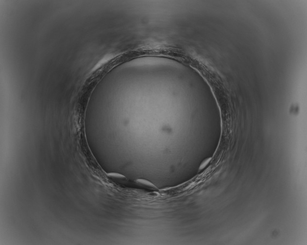 X0000097831206200803281152