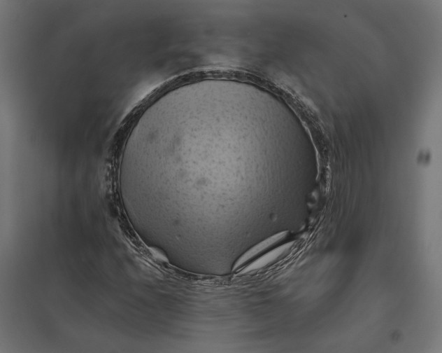 X0000097831208200803281152