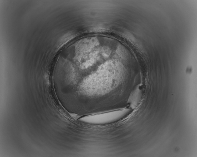 X0000097831209200803281152