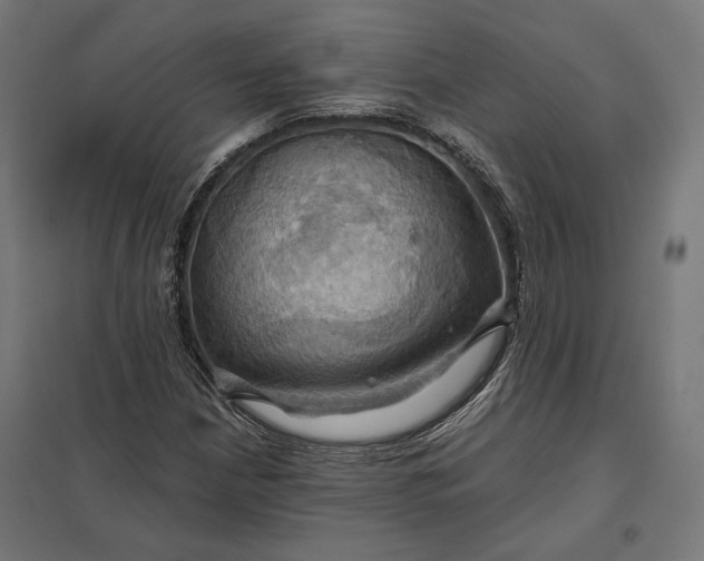 X0000097831210200803281152