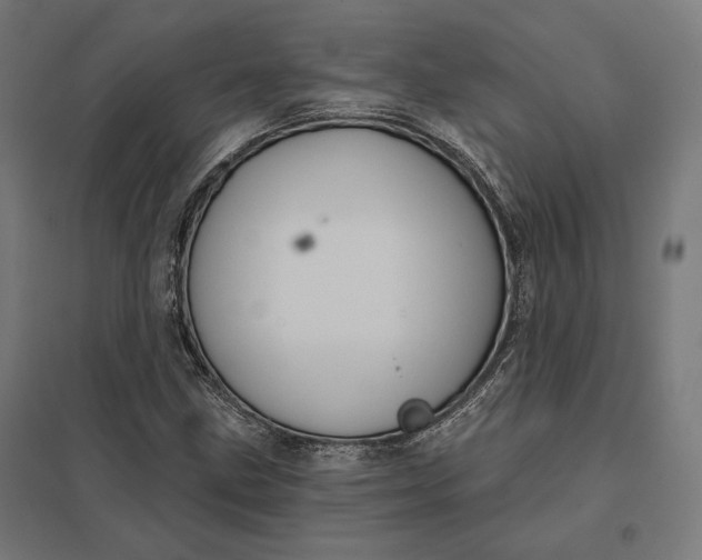 X0000097831211200803281152