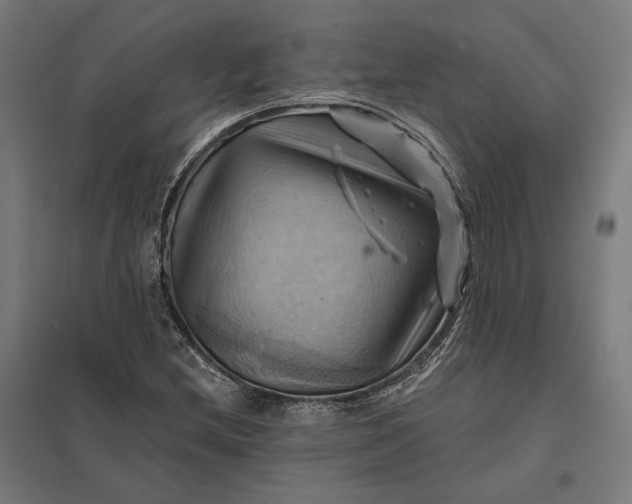 X0000097831212200803281152