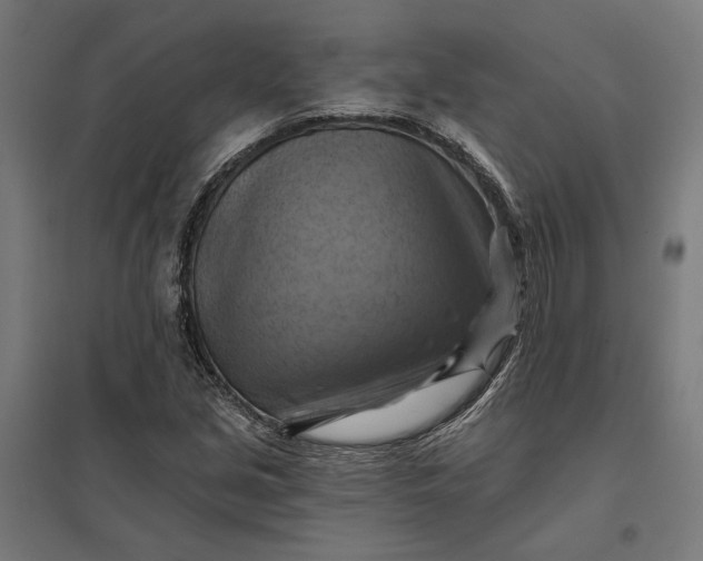 X0000097831213200803281152