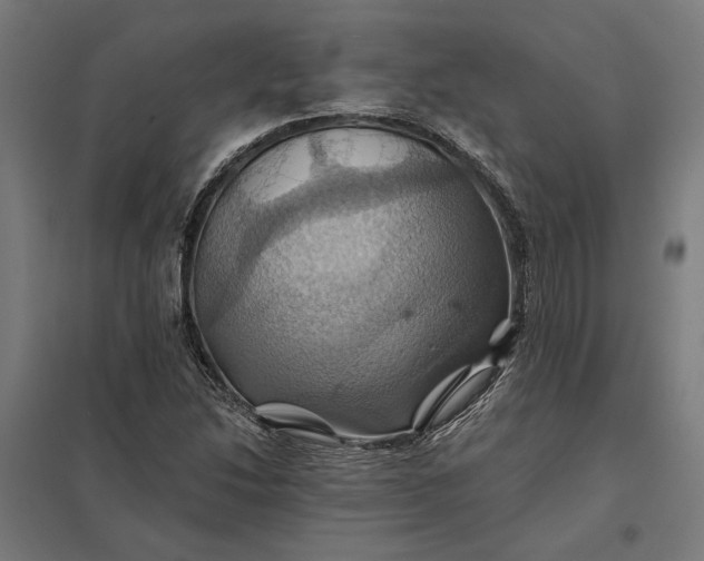 X0000097831214200803281152