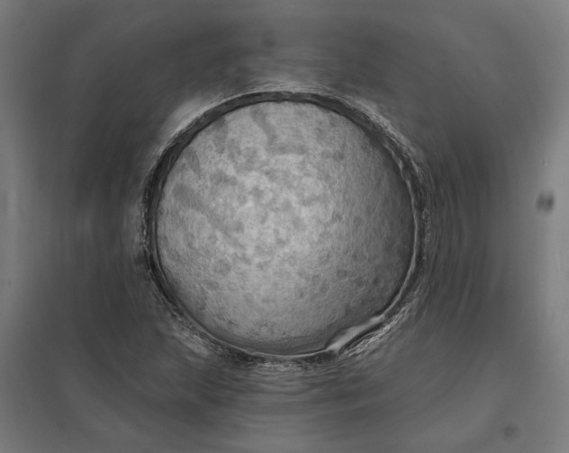 X0000097831215200803281152