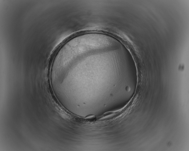 X0000097831216200803281152