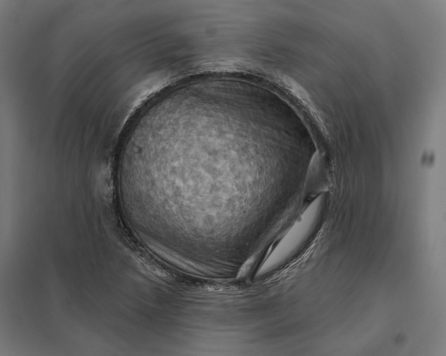 X0000097831218200803281152