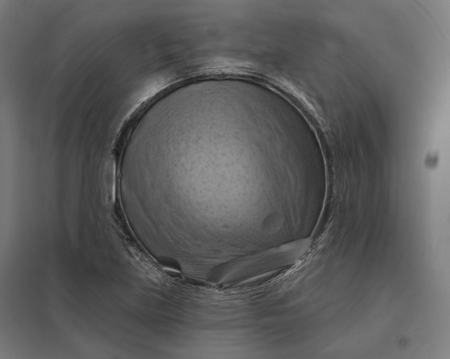 X0000097831219200803281152