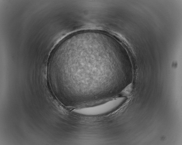 X0000097831220200803281152