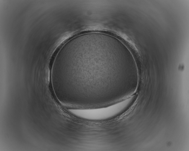 X0000097831221200803281152