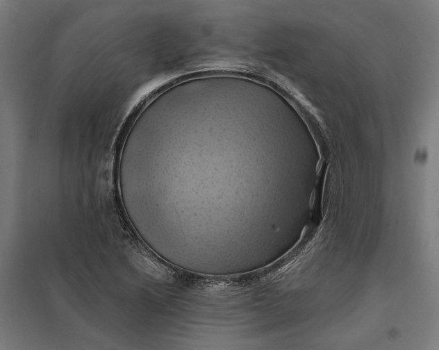 X0000097831222200803281152