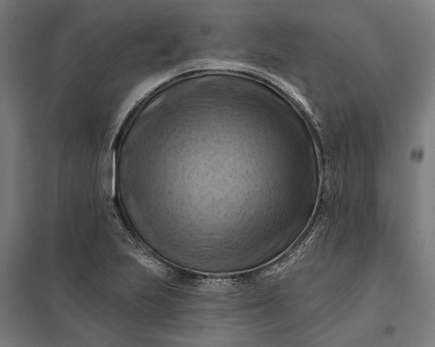 X0000097831223200803281152