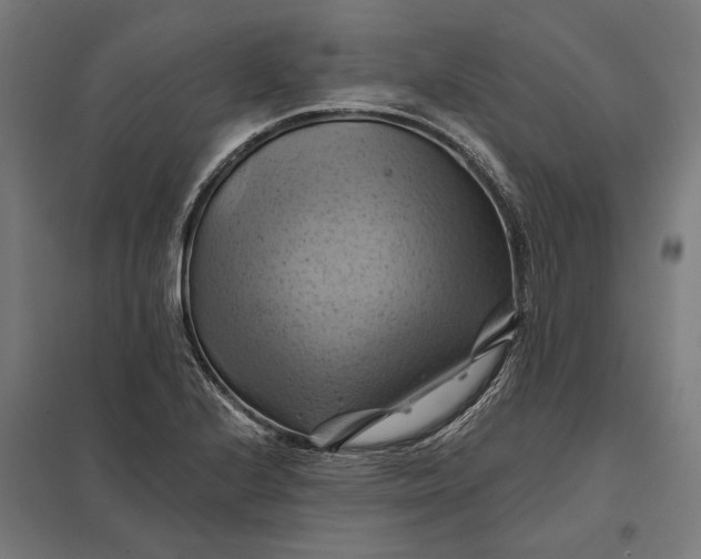 X0000097831224200803281152