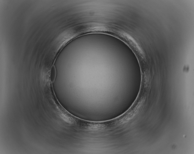 X0000097831225200803281152